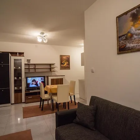 Apartment Spasojevic
