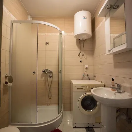 Apartment Spasojevic *