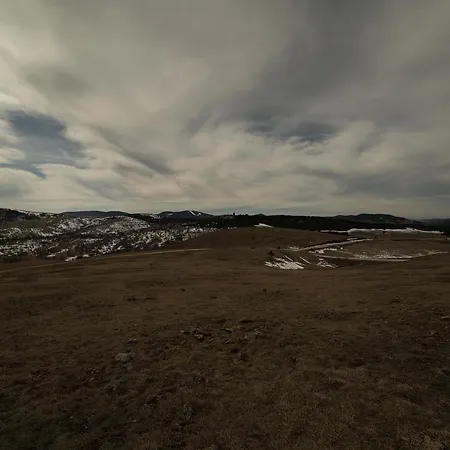 Spasojevic Zlatibor