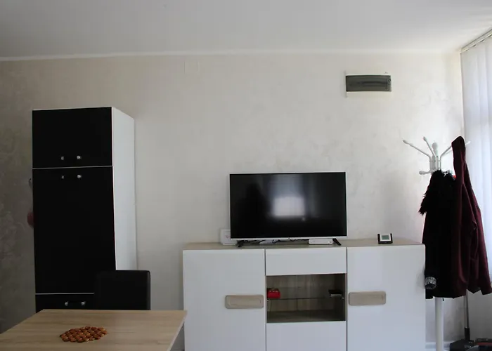 Spasojevic Apartamento *