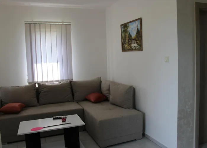Spasojevic Apartamento *