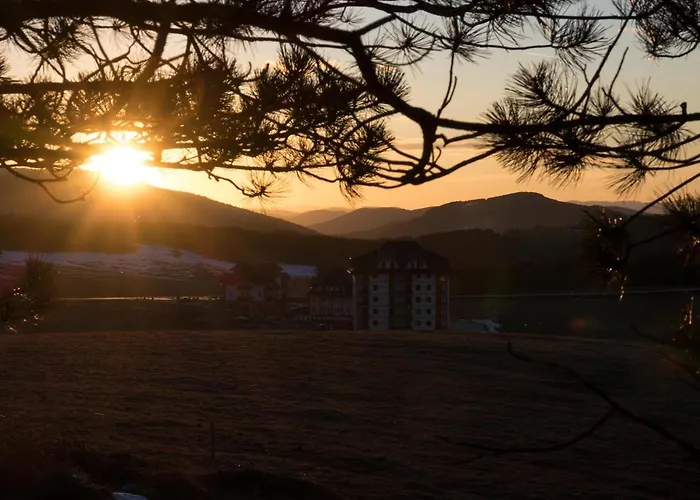 Spasojevic * 즐라티보