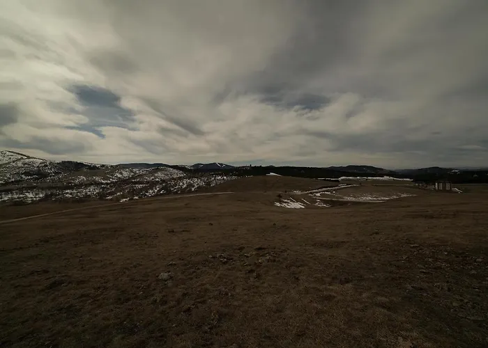 Spasojevic 즐라티보